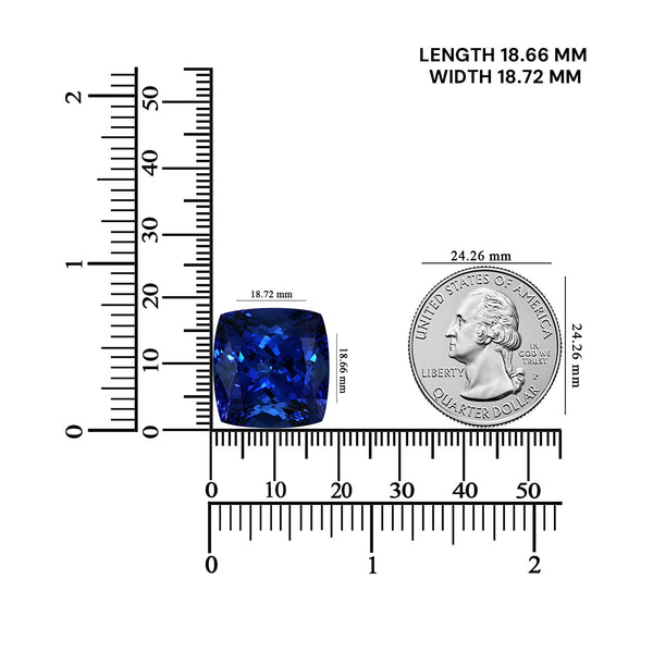 34.14ct Cushion GIA Certified AAAA Tanzanite Gemstone 18.72 x 18.66 x 13.31 mm